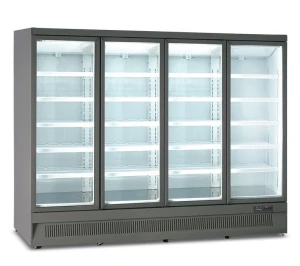 Szafo - regał chłodniczy CORRA MR 250 TN4 GRY 0/+10°C