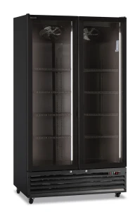 Witryna 2 i 3 drzwiowa ICOOL 110 BLACK