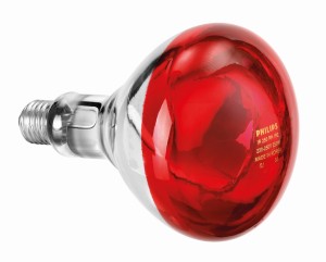 Lampa na podczerwień IWL250D | 114271, Bartscher